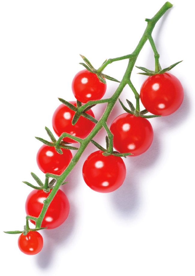 cherry tomatoes on vine