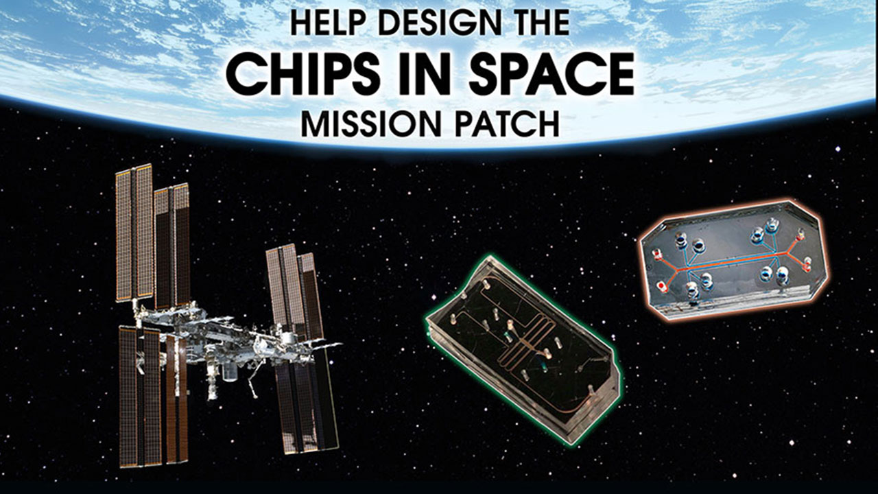 chips in space