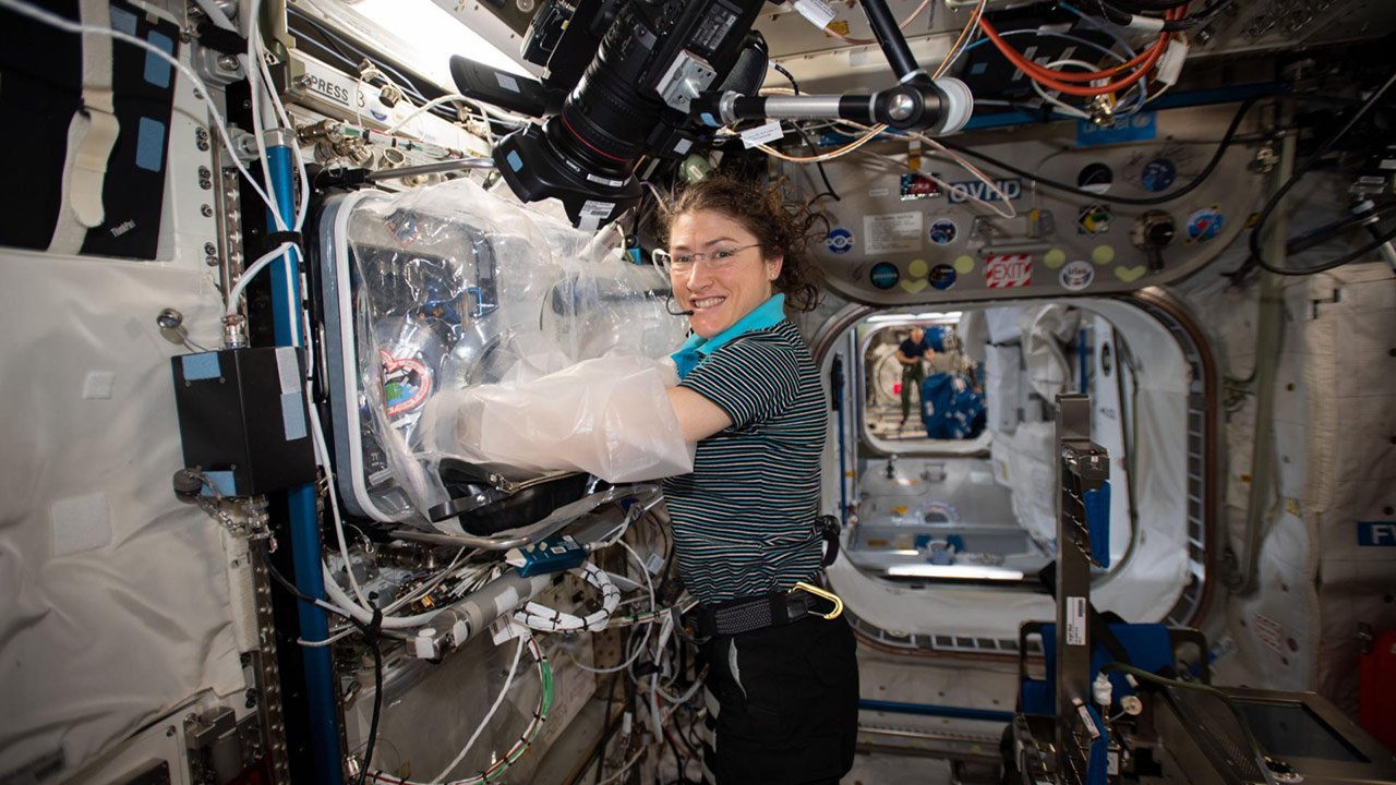 iss060e020090 (July 31, 2019) Expedition 60 Flight Engineer Christina Koch of NASA works with the BioFabrication Facility that will soon be tested for its ability to print organ like tissues and begin proving viability for human organ fabrication in space.