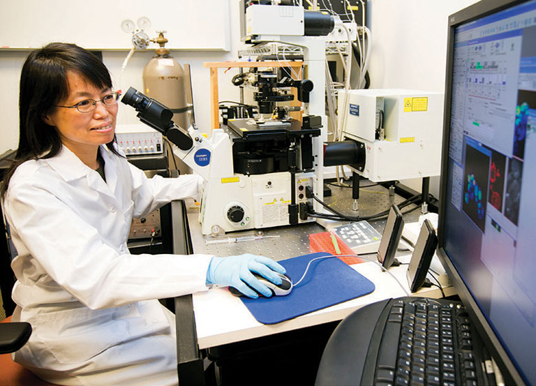 Chunhui Xu, Associate Professor, Emory University School of Medicine