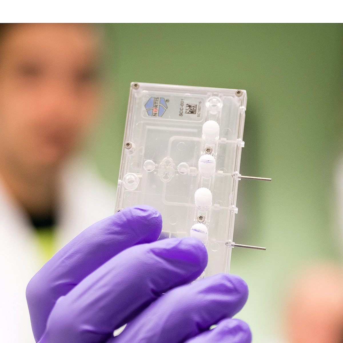 Close up of the kidney on a chip system.