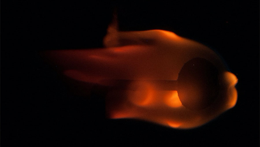 combustion in space flame2