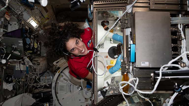 crew7 moghbeli ucsf liver research