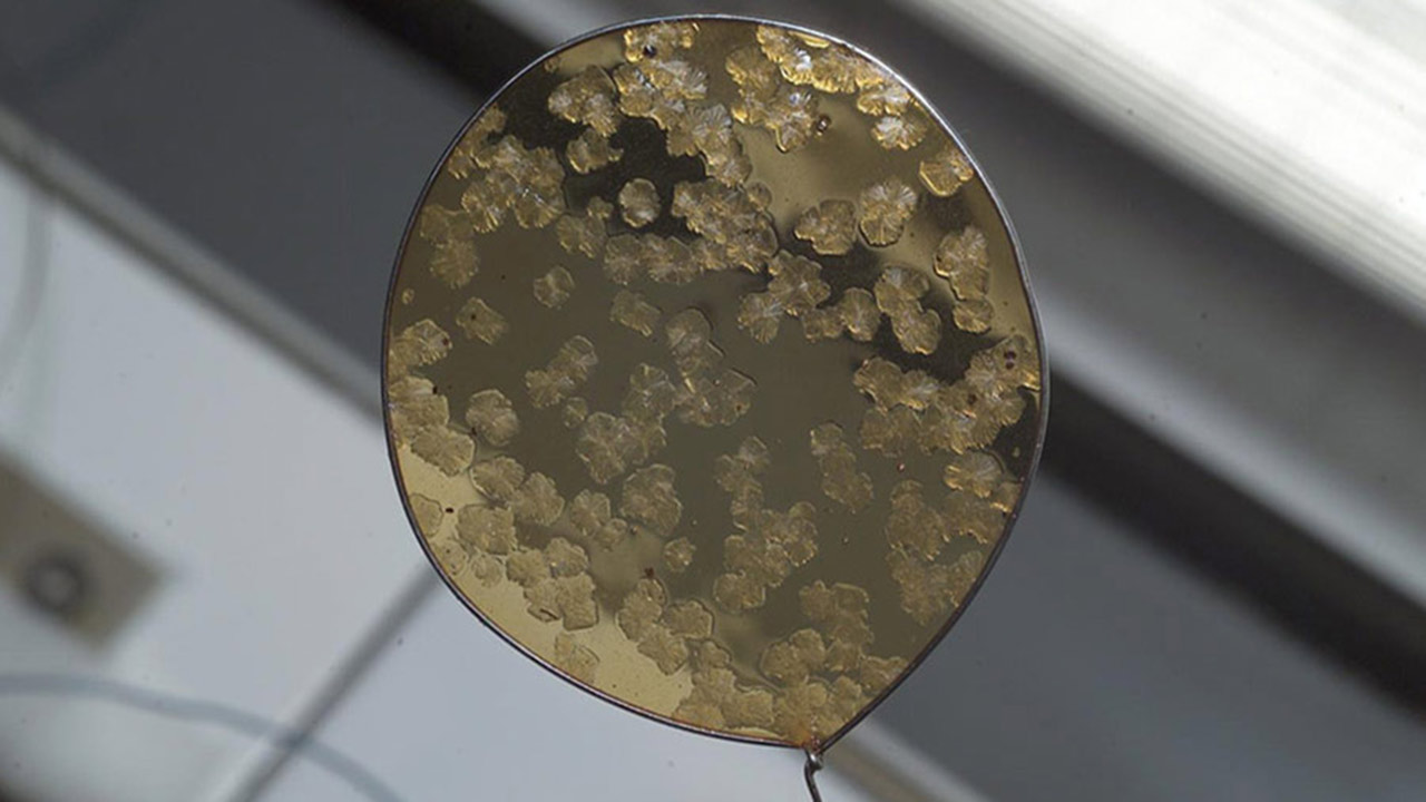 Crystal formation within a 50 millimeter loop, taken on Expedition 6. Crystal growth investigations have been occurring on the station since before humans lived there because of the unique environment microgravity provides.
