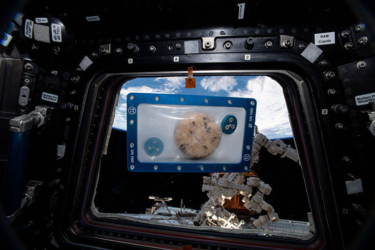 View of NanoRacks Zero-G Oven Sample Tray in the Cupola.