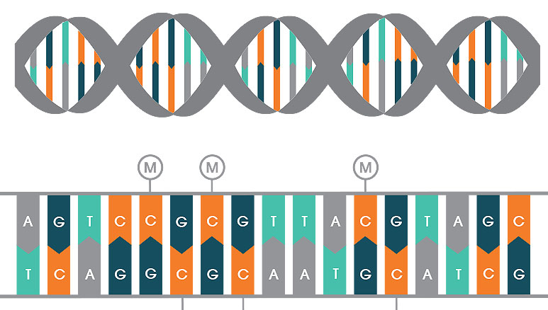 dna_new