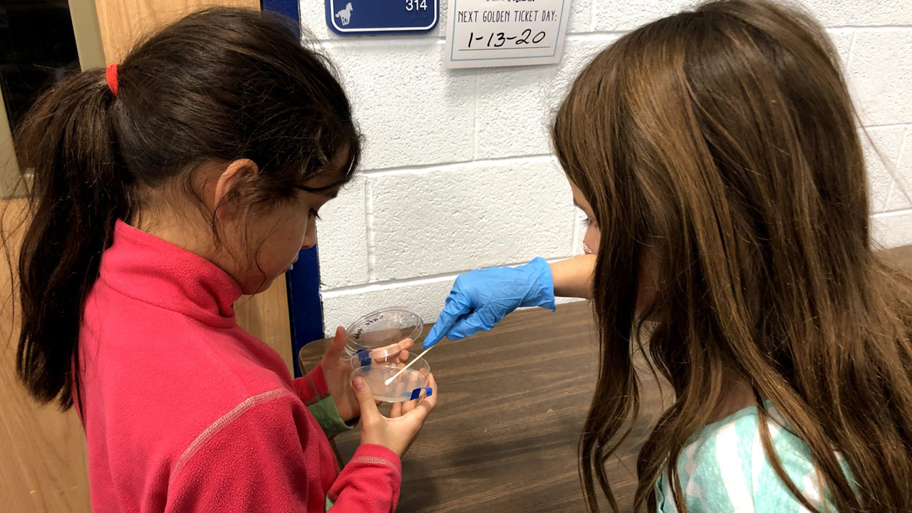 Students working on a Germs in Space DreamKit experiment.