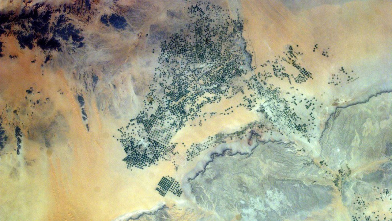 Saudi Arabia