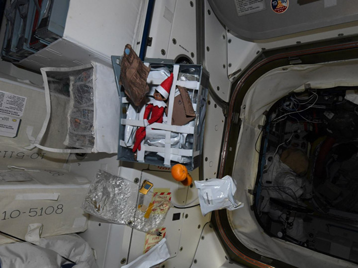 elf shelf iss