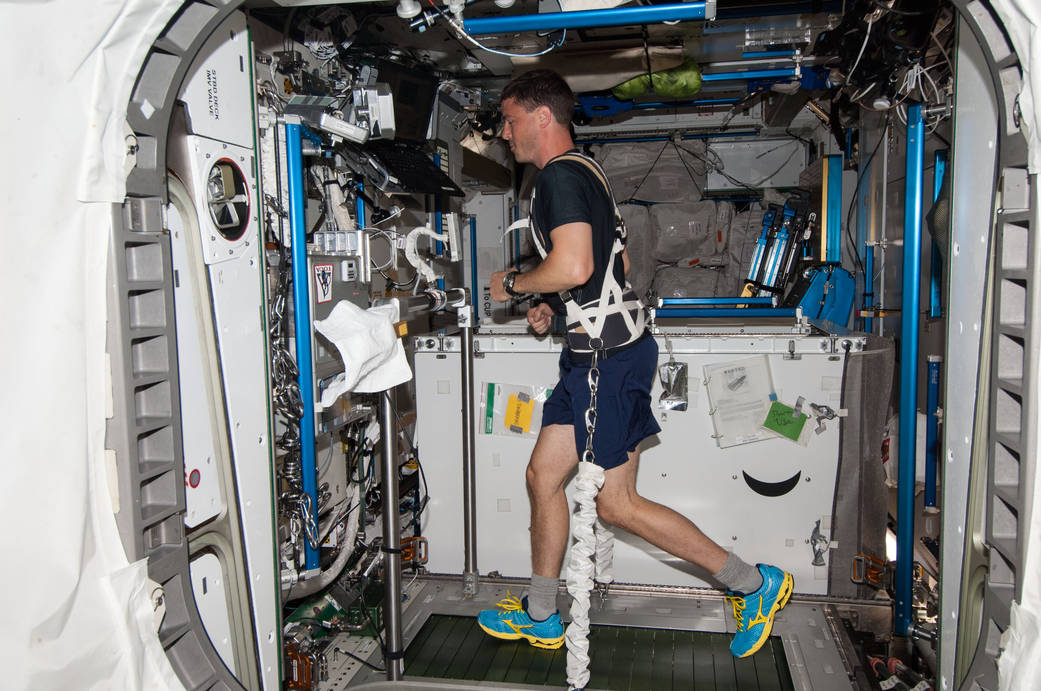 NASA Astronaut Reid Wiseman, Expedition 40 flight engineer, equipped with a bungee harness, exercises on the T2 treadmill.