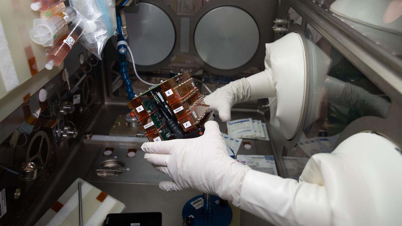 exp62-heart-tissue-glovebox iss062e115367 (3 26 2020) Tissue chambers shown during media exchanges and tissue fixations of the Human iPSC based 3D Microphysiological System for Modeling Cardiac Dysfunction in Microgravity (Engineered Heart Tissue) investigation inside the Life Sciences Glovebox (LSG) in the Japanese Experiment Module (JEM) aboard the International Space Station (ISS). The Engineered Heart Tissues research model could be an effective tool for better understanding cardiac function in response to external factors which would be useful for drug development and other applications related to cardiac dysfunction on Earth.