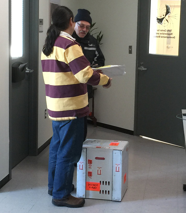 FedEx delivers the experiment to Tufts University.