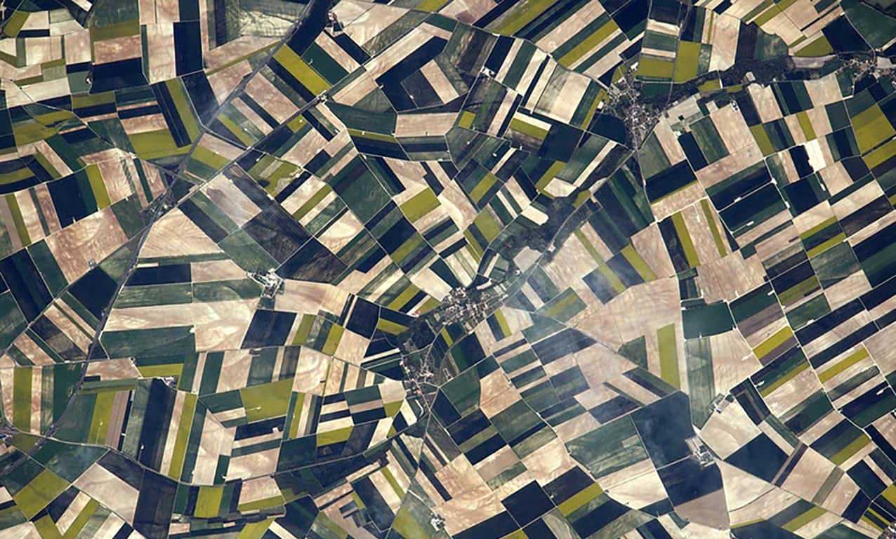 Fields in the Aube Department, near the villages Herbisse and Villiers-Herbisse