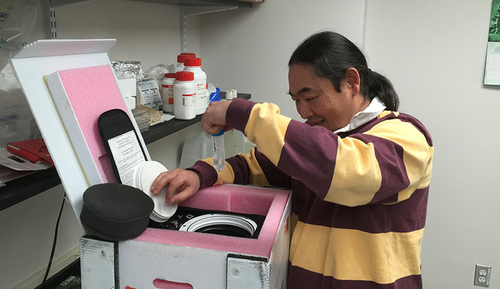 Junji Morokuma gets the first glimpse of the returned flatworms.