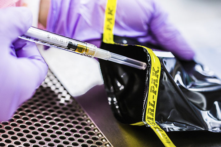 Fluorochrome bone labels were injected in the mice three times throughout the study to measure the rate of bone formation. Because fluorochromes are susceptible to light, the pre loaded syringes were stored in opaque protective bags.