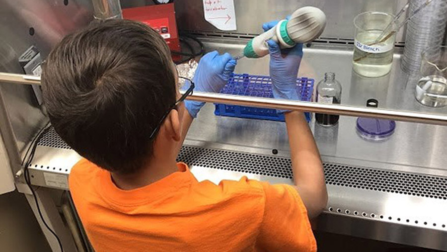 Student principal investigator Gabriel McCarthy working with penicillium mold in potato agar slants in the Texas Christian University Microbiology Laboratory.