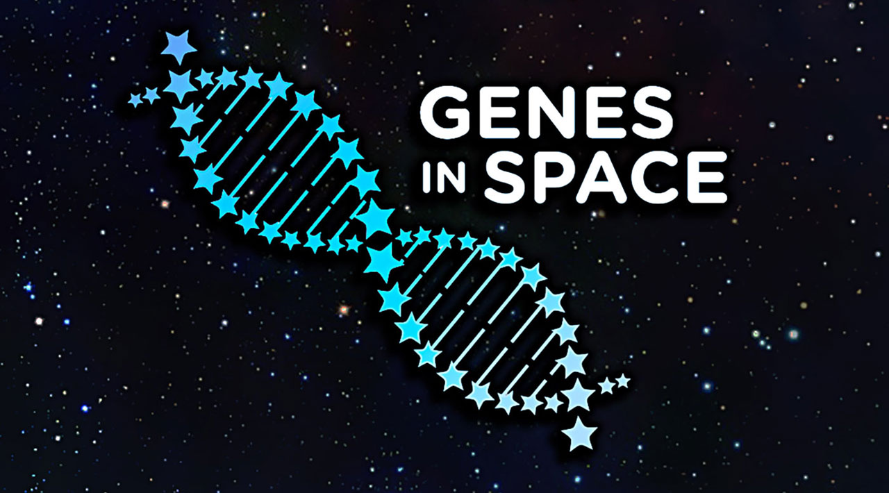 genes in space stars rectangle