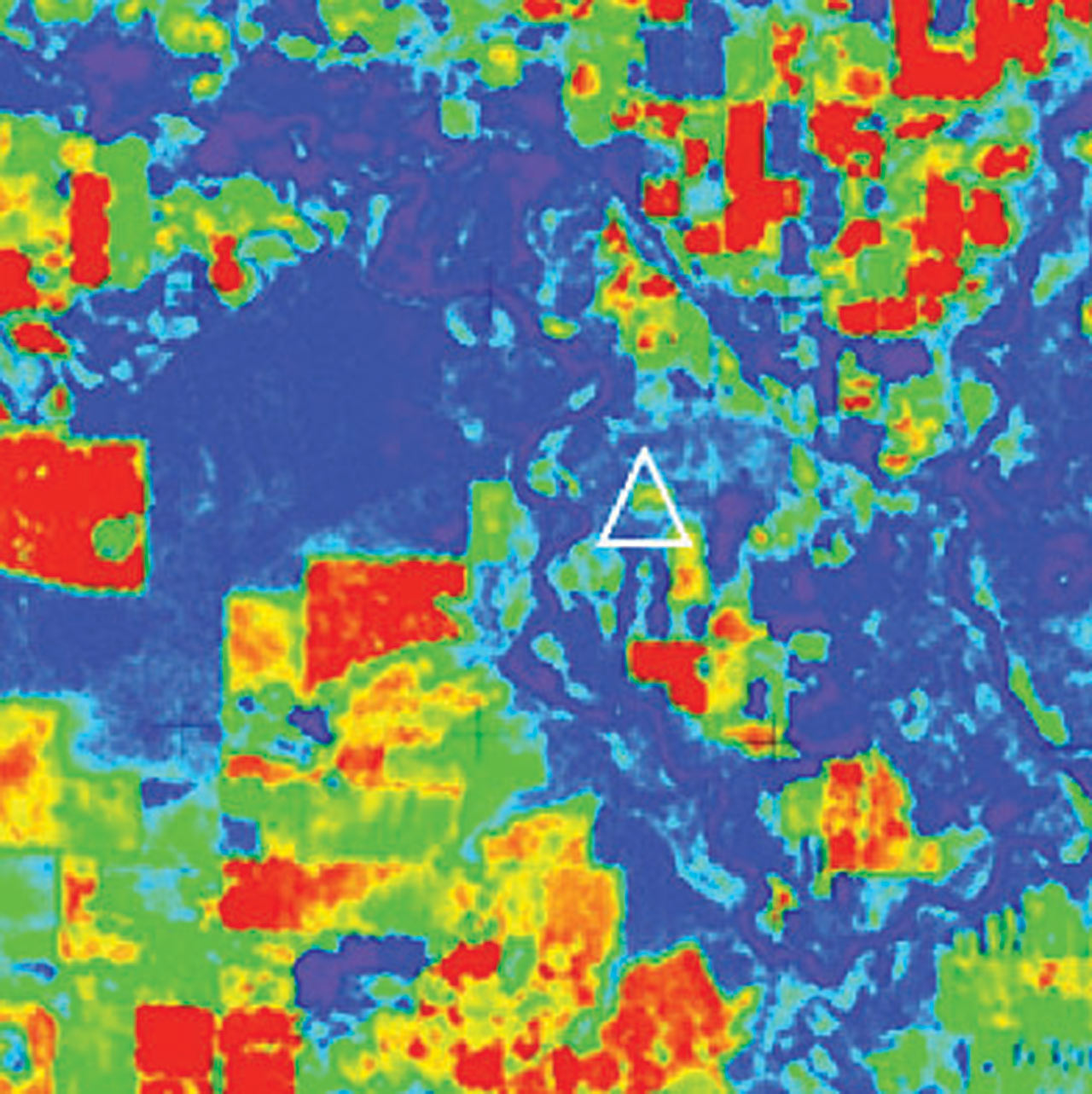 Map of gross ecosystem production (GEP) derived from HICO imagery from the ISS for the study area around Lethbridge, Alberta, Canada. Image collected July 2, 2013. The triangle indicates the location of the flux tower. The area is a mixture of grassland and crops, resulting in a complex spatial pattern of productivity.