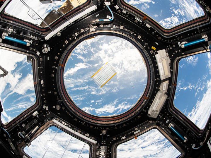 A Modular In Situ 1 Crystallization Plate floating in the Cupola on the International Space Station.