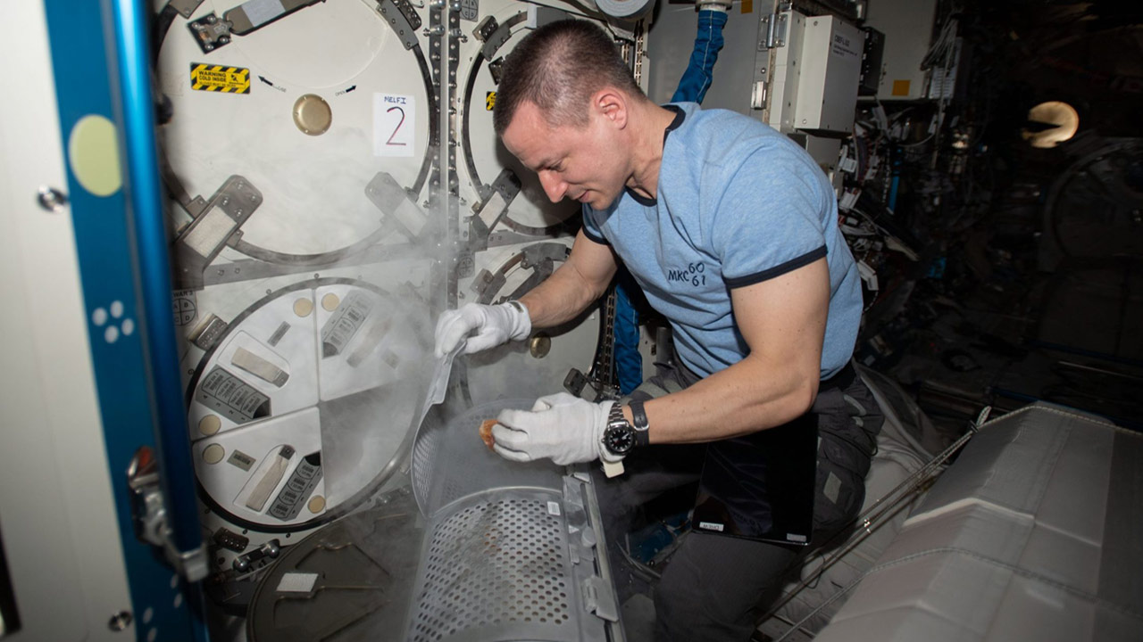 NASA astronaut and Expedition 62 Flight Engineer Andrew Morgan retrieves gut microbe samples from a science freezer for the Rhodium Space Microbiome experiment to understand how microgravity enriches or depletes the microbes that affect astronaut health.