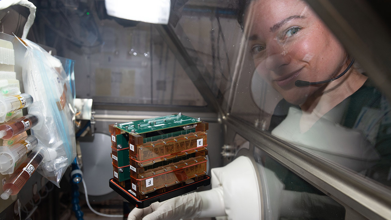 NASA astronaut Jessica Meir onboard the ISS working with engineered heart tissues. This investigation is examining the effects of microgravity on human cardiac tissue structure and physiological function.