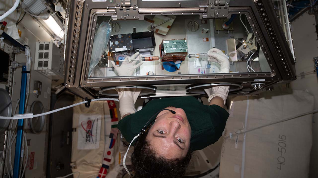 iss062e115369 (March 26, 2020) NASA astronaut and Expedition 62 Flight Engineer Jessica Meir conducts cardiac research in the Life Sciences Glovebox located in the Japanese Kibo laboratory module. The Engineered Heart Tissues investigation could promote a better understanding of cardiac function in microgravity which would be useful for drug development and other applications related to heart conditions on Earth.