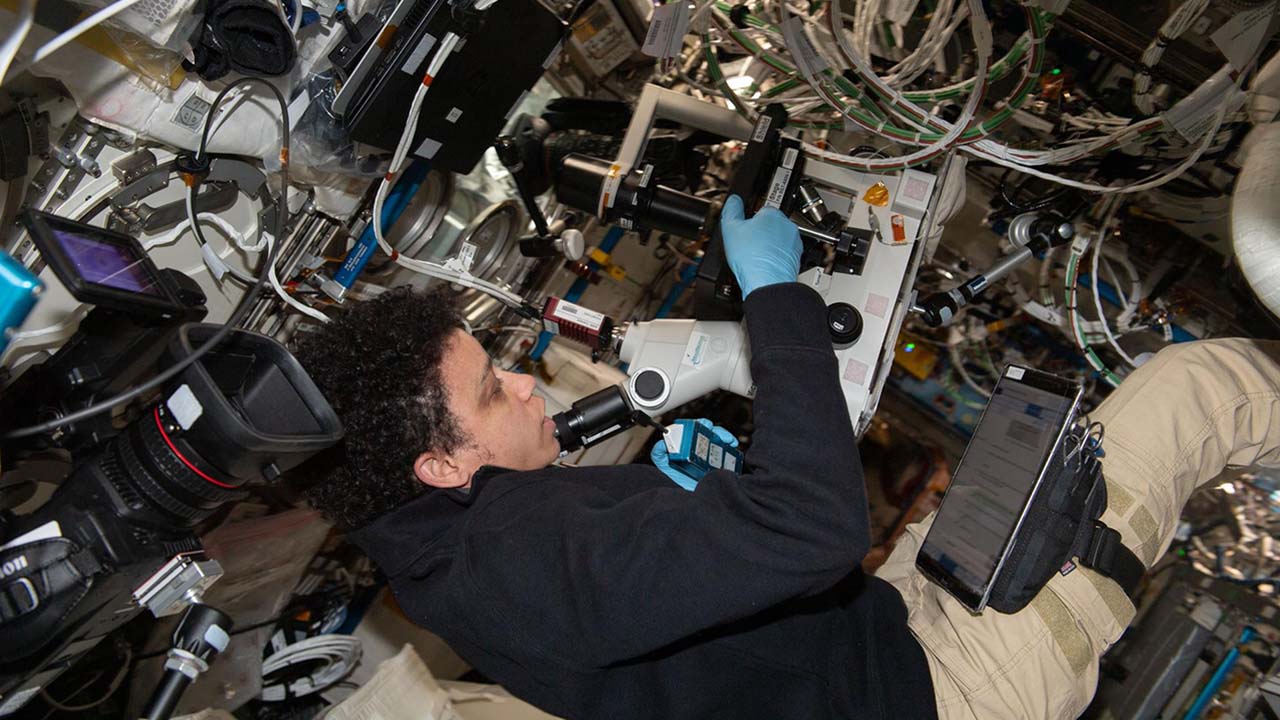 ss067e190689 (July 20, 2022) Expedition 67 Flight Engineer and NASA astronaut Jessica Watkins sets up cell samples for viewing in a microscope for the Immunosenescence space biology study. The investigation studies the immunological aging of cells that takes place in microgravity to learn how to keep astronauts healthy on long term missions and treat immunity conditions on Earth.