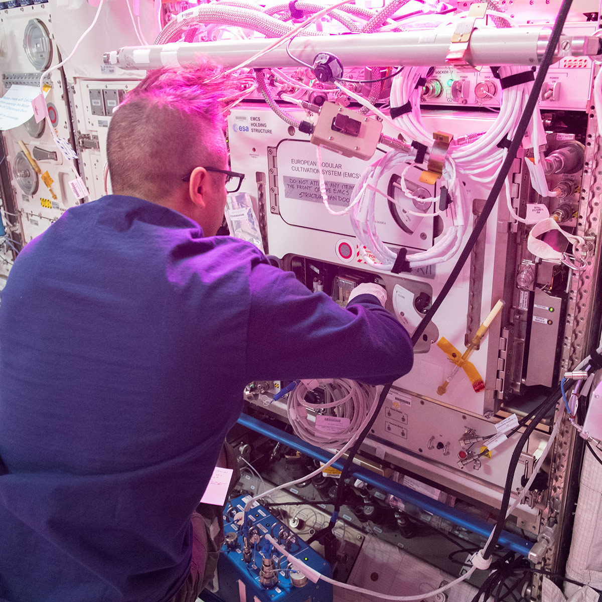 NASA astronaut Joe Acaba works within the EMCS as a part of the Gravity Perception Systems (Plant Gravity Perception) investigation. Plant Gravity Perception studies plants gravity and light perception in the microgravity environment of the space station.