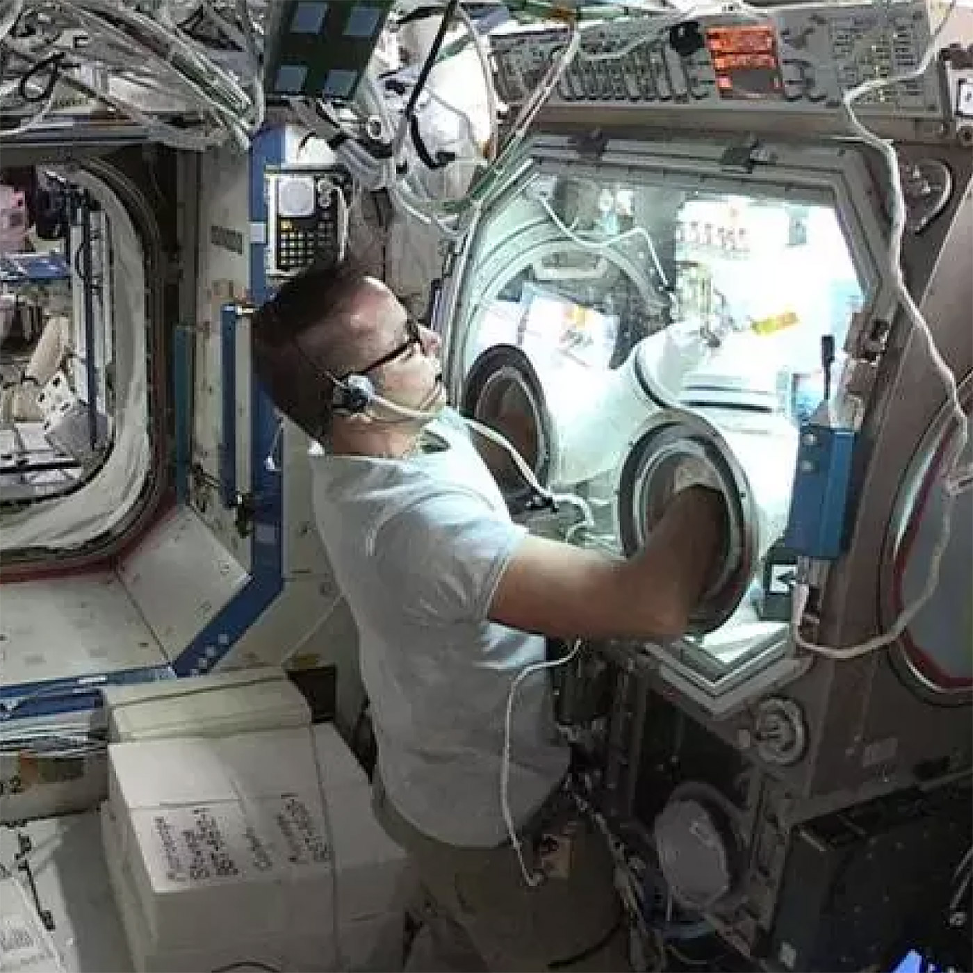 Astronaut Joe Acaba, whos leading the tests on the International Space Station, worked with a tissue culture in a glove box.