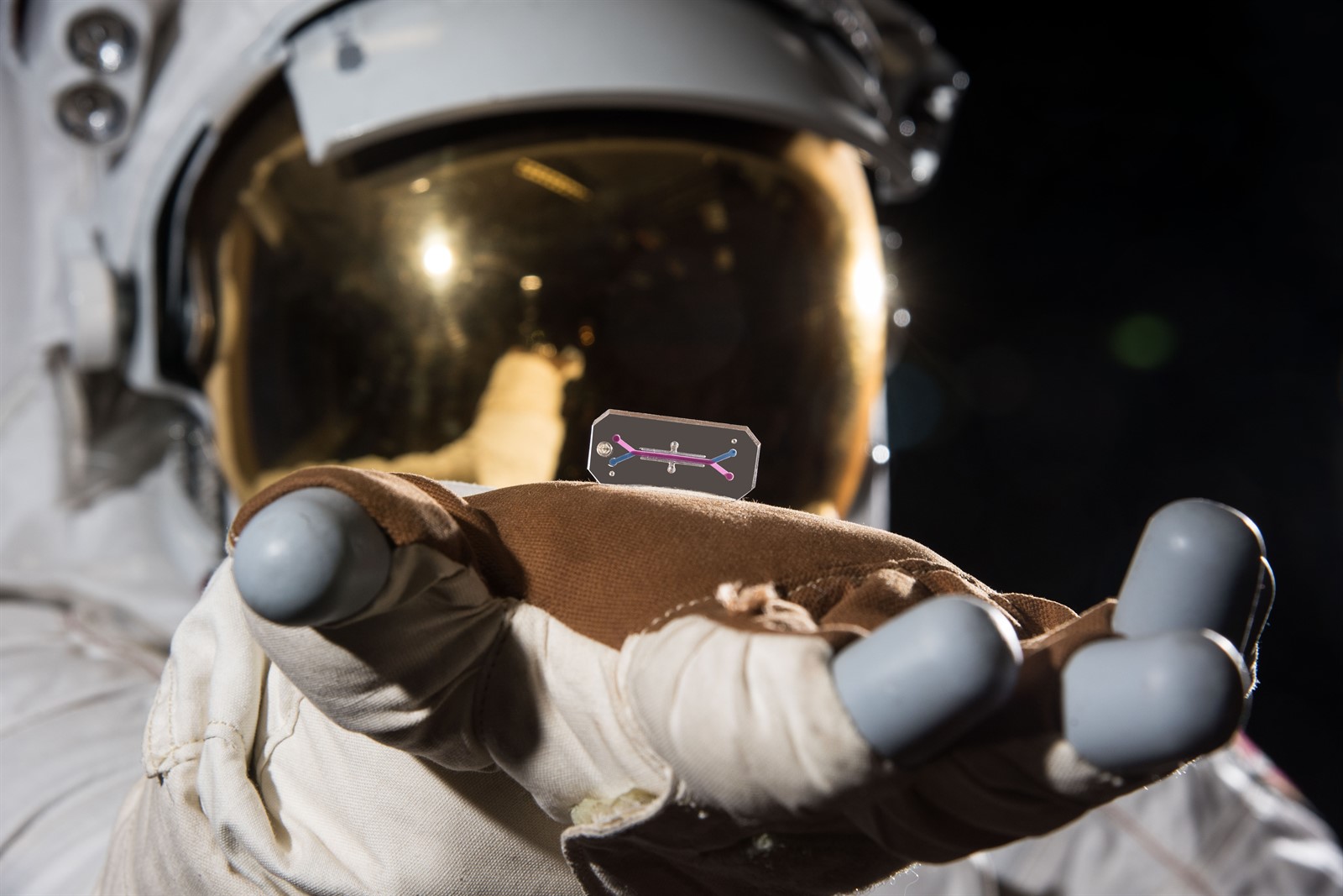 jsc2018e061030 cleaned NASA 1600