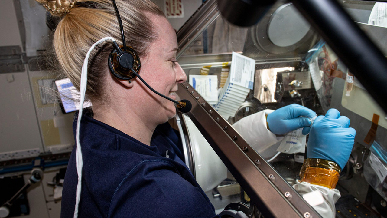NASA astronaut Kate Rubins works on the cardinal heart investigation onboard the ISS.