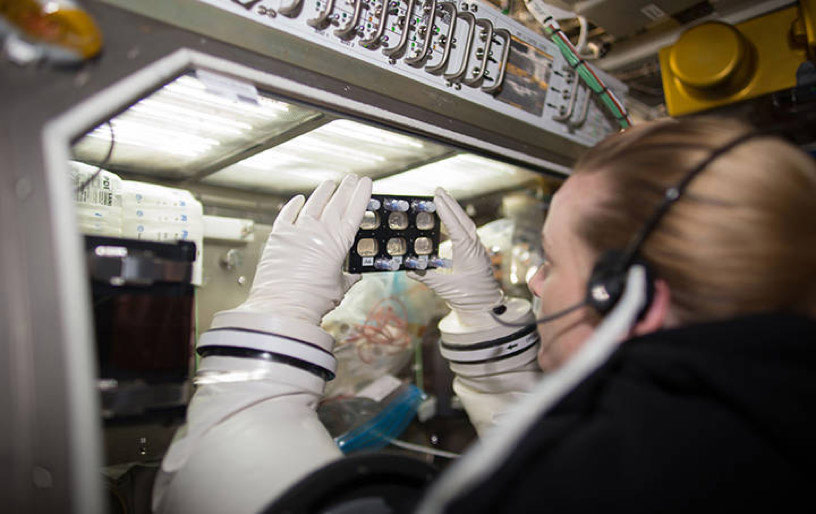 Another work day for Astronaut Kate Rubins: culturing heart cells in space.