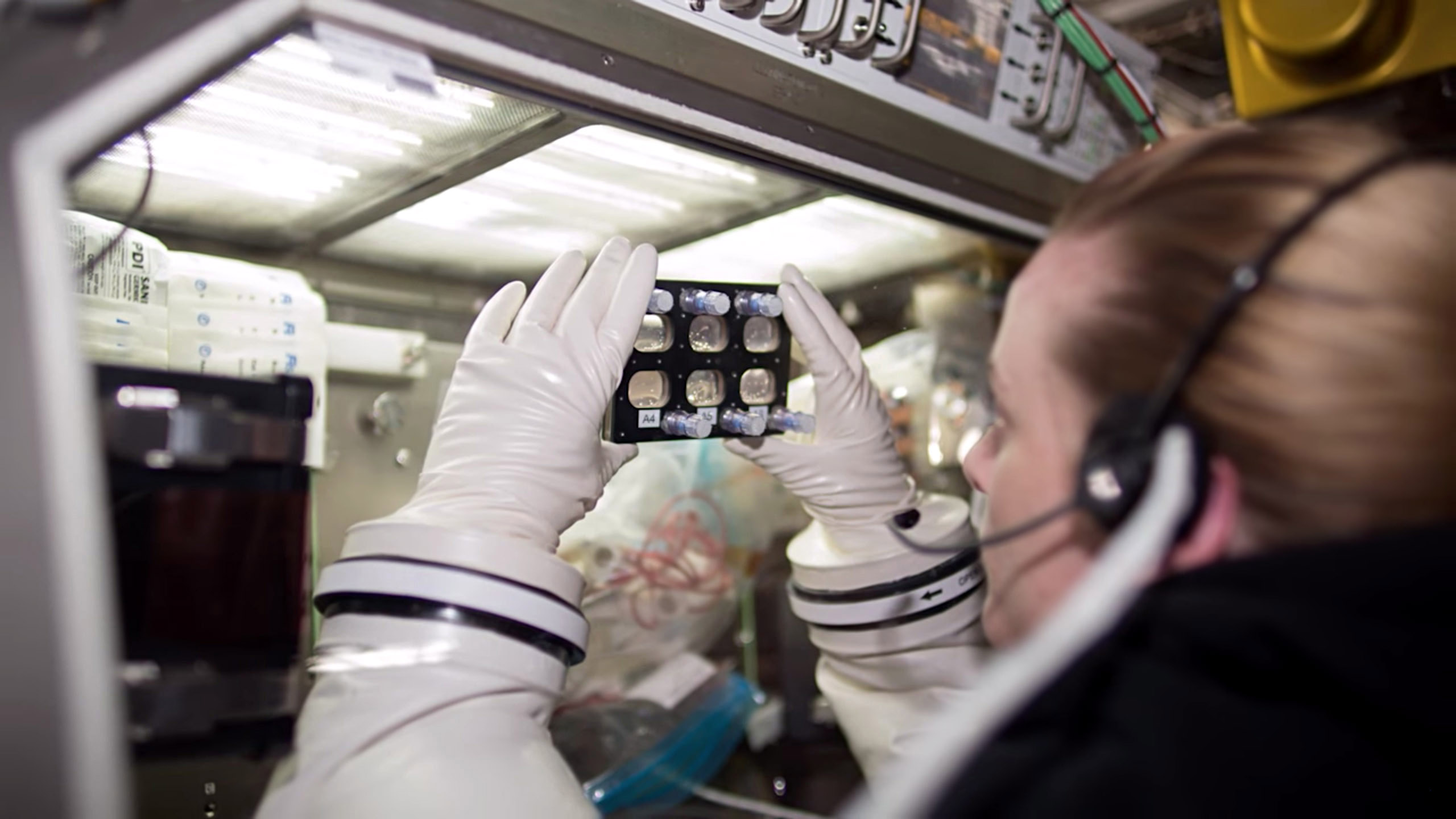 Kate Rubins examines samples of heart cells using the Microgravity Glovebox on the ISS.