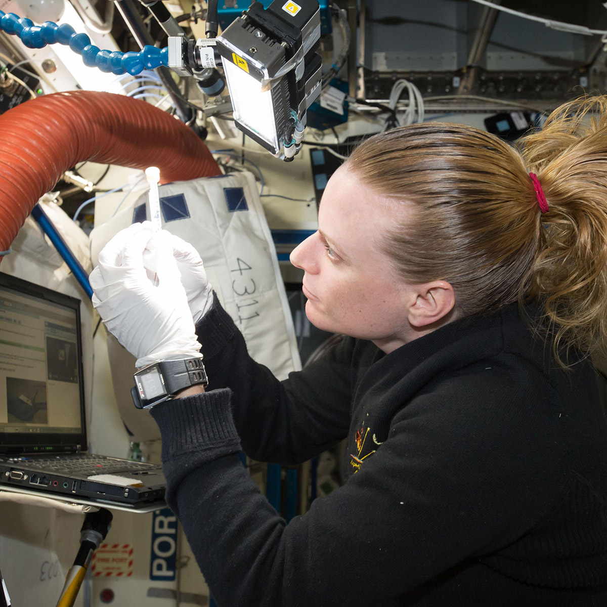 ISS048E069880 Flight engineer Kate Rubins makes preparations for the Run 2 sample initialization of the Biomolecule Sequencer experiment. Image was taken in the Destiny U.S. Laboratory