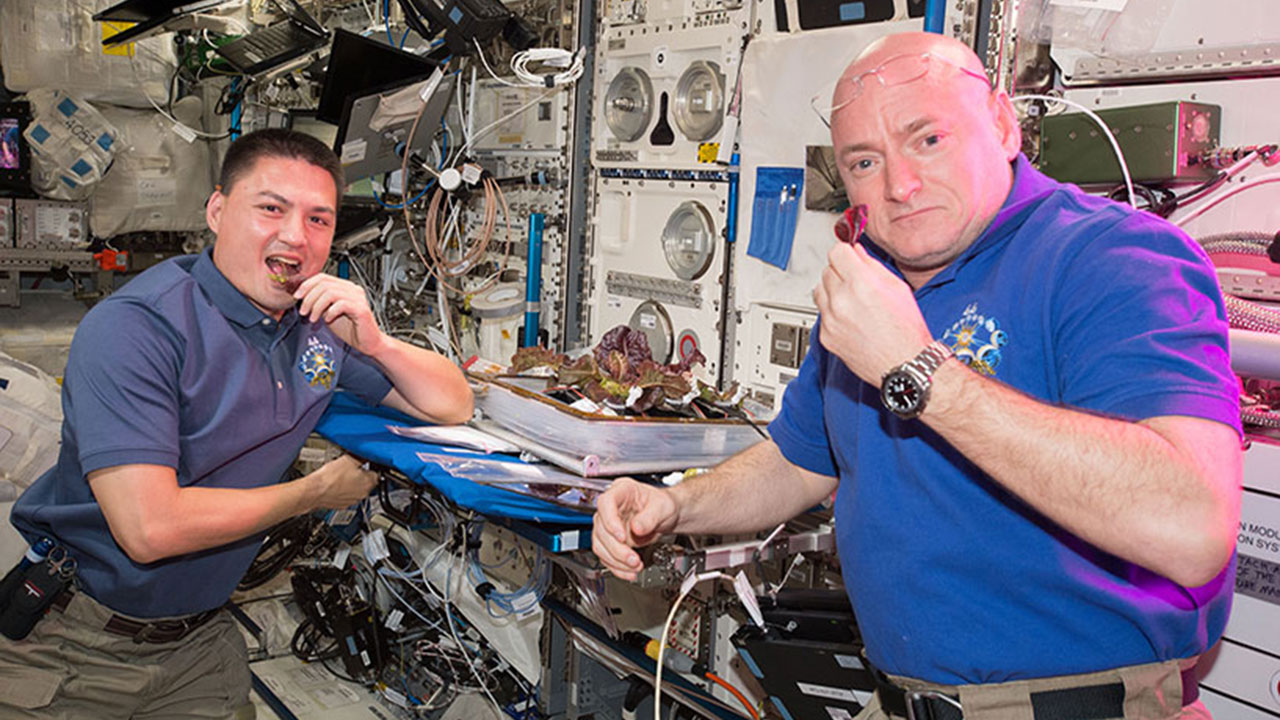 NASA astronauts Kjell Lindgren, left, and Scott Kelly harvest the first red lettuce grown on the International Space Station as part of the Veggie investigation. This technology and method of growing food could help sustain astronauts by growing the food astronauts need to survive in space and is a critical step on the path to Mars.