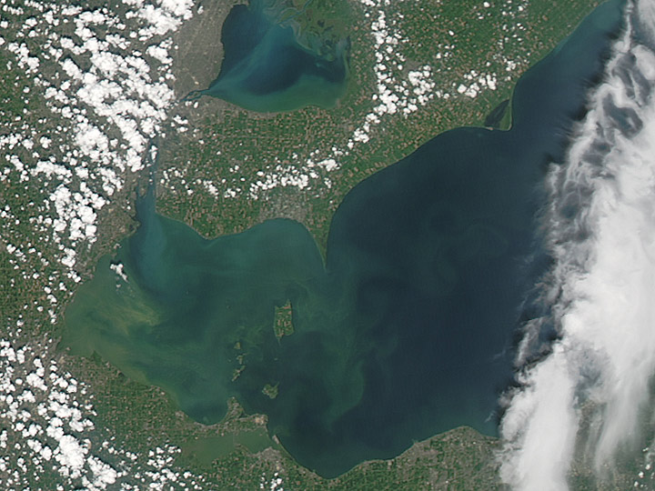 The Moderate Resolution Imaging Spectroradiometer (MODIS) on NASAs Aqua satellite captured this natural color view of an algae bloom in the west end of Lake Erie. The image of the coastal waters off of Ohio, Michigan, and southwestern Ontario was acquired at 2:50 p.m. EST on August 3, 2014.