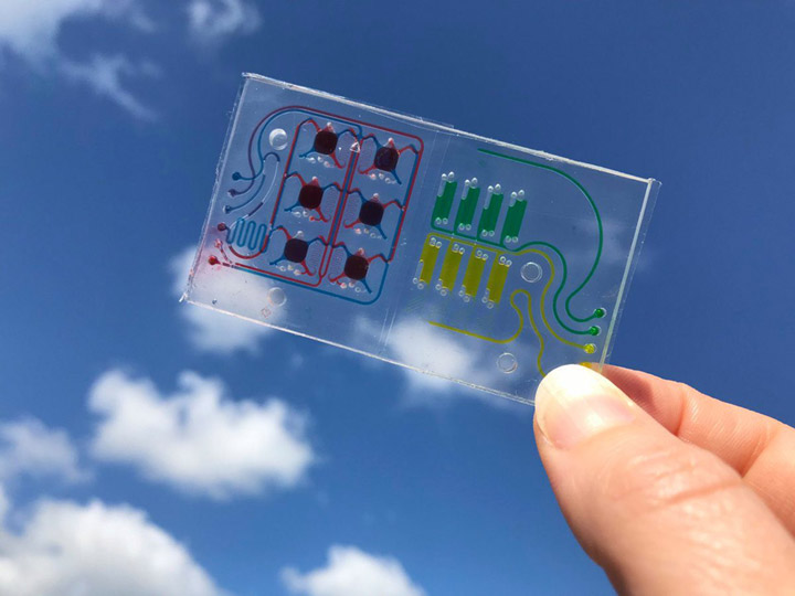 low tissue chip