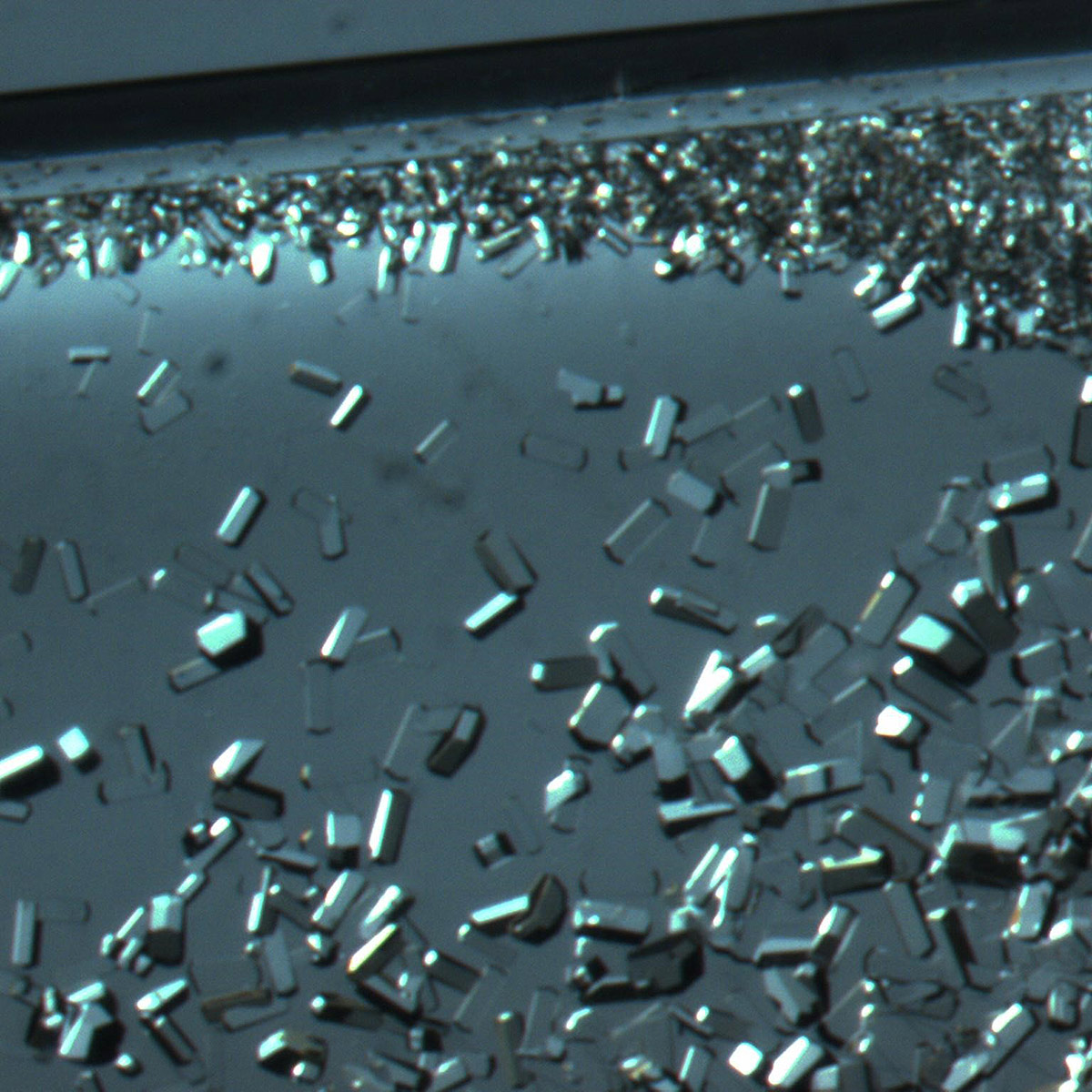 Lysozyme Crystal formation as seen under a light microscope. Crystals grown in microgravity typically reflect fewer imperfections, making them more ideal for drug development and other research.
