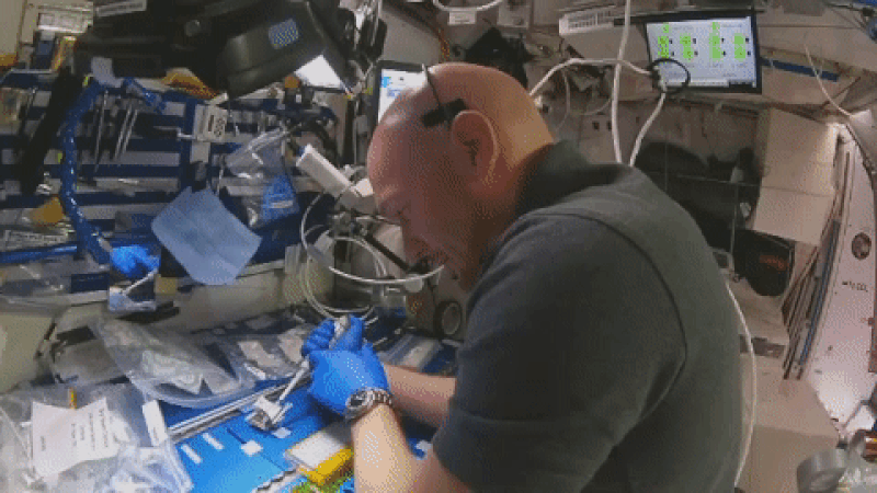 European Space Agency astronaut Alexander Gerst works on the LRRK2 protein crystallization experiment from The Michael J. Fox Foundation onboard the International Space Station.