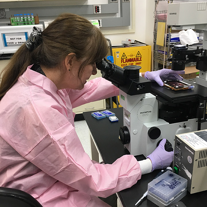 Mary Kearns Jonker examining CPCs as they are being prepared for launch at Kennedy Space Center.