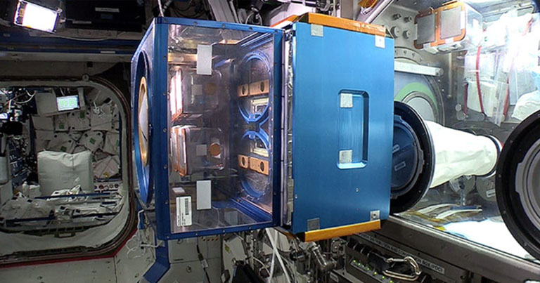 Rodent habitat onboard the International Space Station