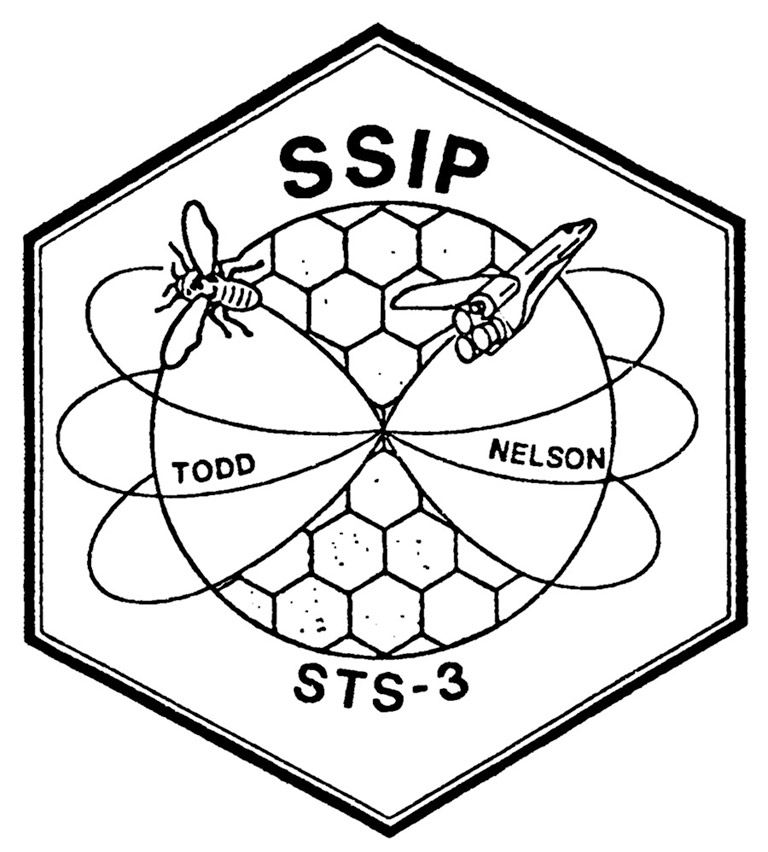 SSIP stands for Student Shuttle Involvement Program.
