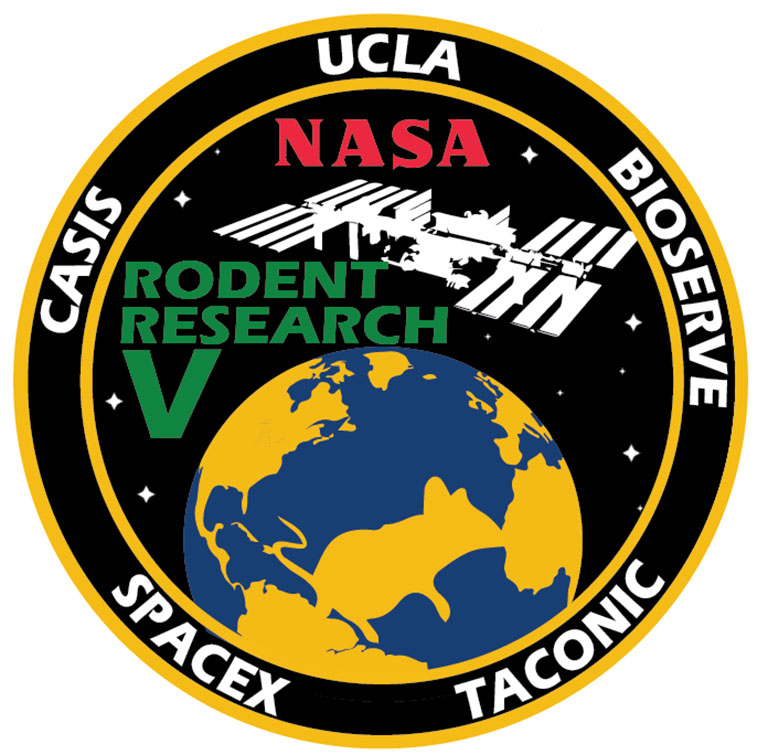 UCLAs Rodent Research V mission patch