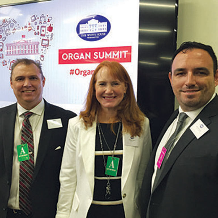 organ summit