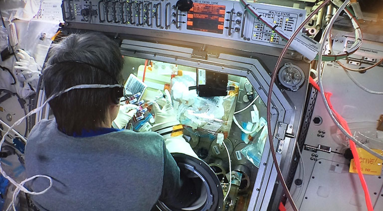 NASA Astronaut Peggy Whitson running Nano3D Biosciences (n3D) experiment at the International Space Station.