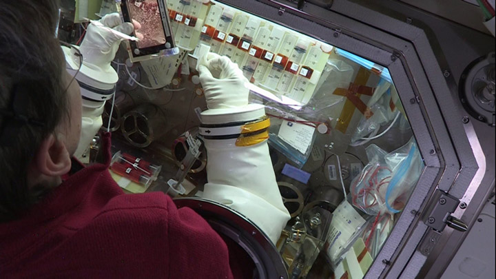 NASA astronaut Peggy Whitson exchanging the CPC growth media in the BioCell hardware onboard the ISS.