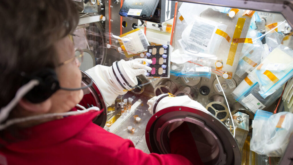 NASA astronaut Peggy Whitson works on the Oncolinx investigation onboard the ISS.