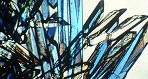 Space grown protein crystals
