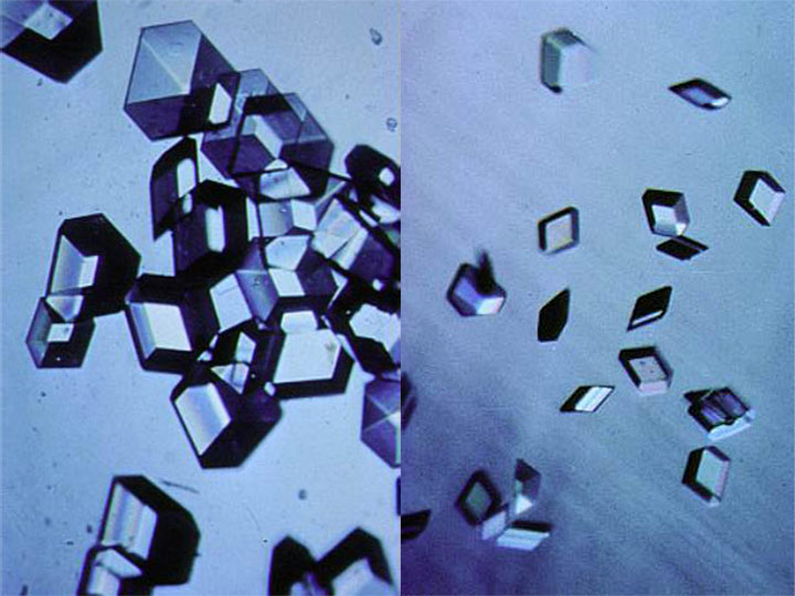 protein crystals