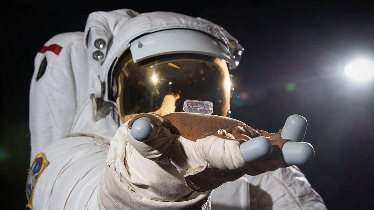 rfp20193-tissue-chip-astronaut
